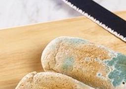 变质食品的特征 变质食品的特征是