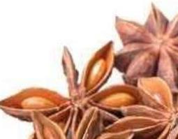 八角茴香的功效与作用 八角茴香油的功效与作用