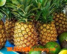 吃菠萝的好处和坏处都有哪些（吃菠萝的好处和坏处都有哪些呢）