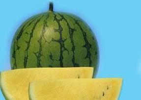 西瓜可以治疗的疾病,吃西瓜的好处（吃西瓜能治）