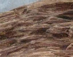 沉香木的功效与作用及药用价值（沉香木的作用是什么）