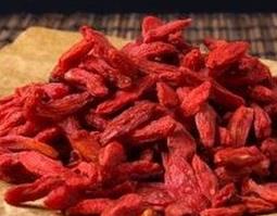 蒲公英与枸杞泡水的功效与作用（蒲公英与枸杞泡水的功效与作用禁忌）