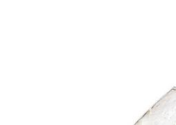 香槟有没有保质期（香槟有没有保质期限）