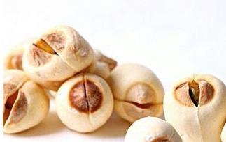 莲子的家庭食疗菜谱（莲子做法大全菜谱）