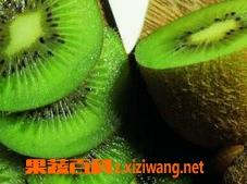 猕猴桃怎么吃（猕猴桃怎么吃才方便怎么去皮）