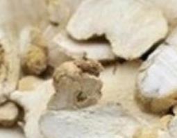 白何首乌的功效与作用 白何首乌的功效与作用图片