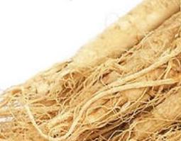 朝鲜白参的功效与作用(朝鲜白参的功效与作用是什么)