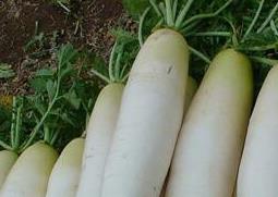 手冻伤了怎么办 孩子手冻伤了怎么办