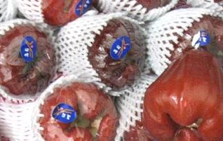 莲雾的功效与作用（莲雾的功效与作用血糖高可以吃吗）