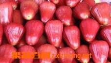 莲雾的营养价值和吃法（莲雾的营养价值与食用功效）