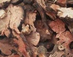 金荞麦根的功效与作用及禁忌 金荞麦根的功效与作用及禁忌是什么