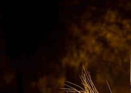 喝啤酒的危害 未成年喝啤酒的危害