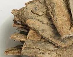 中药杜仲如何打粉 中药杜仲如何打粉的