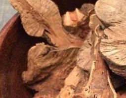 金荞麦的功效与作用及禁忌（金荞麦的功效与副作用）