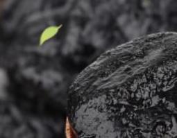 老药桔有什么功效和作用（老药桔的功效和作用）