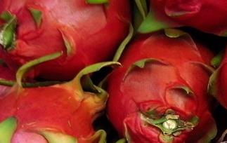 孕妇吃火龙果的好处（孕妇吃火龙果的好处与功效）