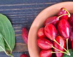 山茱萸的功效与作用（中药山茱萸的功效与作用）