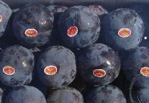 黑布林的营养价值有哪些呢（黑布林和红布林哪个有营养）