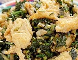 野生的蒲公英能吃吗 野生的蒲公英能吃吗有毒吗