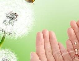 蒲公英洗脸会变黑吗 蒲公英洗脸会变黑吗女生