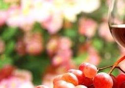 自治葡萄酒有哪些危害(自治葡萄酒有哪些危害和好处)