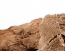 茯苓皮的功效与作用 茯苓的功效与作用