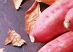 红薯糖的功效与作用 红薯糖的功效与作用与禁忌