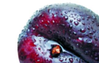 乌梅的功效与作用（乌梅的功效与作用及禁忌）