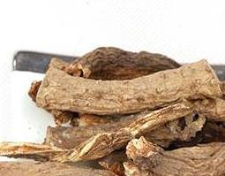 藏当归的功效与作用 藏当归的功效图片