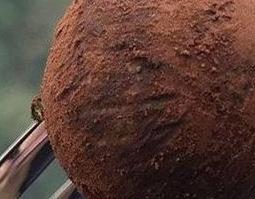 蒲公英巧克力怎么做（蒲公英巧克力 做法）