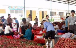 荔枝营养价值和适宜人群 荔枝营养价值有哪些