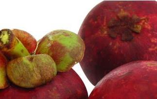 山竹的功效与作用有哪些 山竹的功效与作用有哪些禁忌