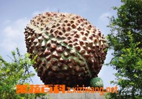 吃荔枝的好处,吃荔枝有哪些好处 吃荔枝的好处,吃荔枝有哪些好处呢