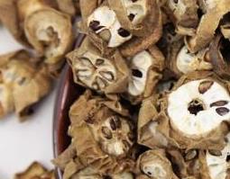 预知子的功效与作用及禁忌