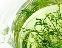 绞股蓝泡水喝的功效与好处 绞股蓝泡水喝的功效与好处是什么