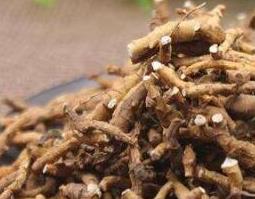 九节菖蒲的功效与作用 九节菖蒲的药用价值