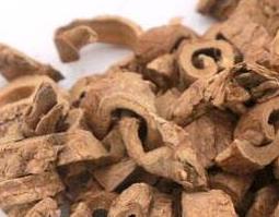 香加皮的功效与作用（五加皮与香加皮的功效与作用）