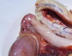 牦牛鞭泡酒怎么去腥（牦牛鞭泡酒怎样去腥）