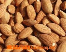 杏仁药用价值(说说杏仁药用价值)