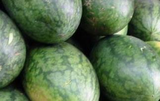 美人瓜（美人瓜怎么选才是最好的）