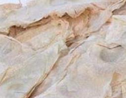 木蝴蝶的功效与作用及药用价值 木蝴蝶的功效与作用及用量