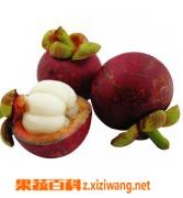 山竹的营养价值有哪些（山竹的营养价值有哪些品种）