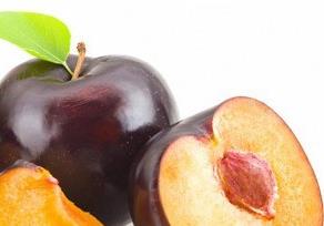 黑李子食疗作用 黑李子食疗作用与禁忌