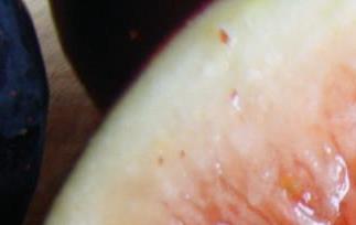 无花果能直接吃吗 无花果能直接吃吗百度百科