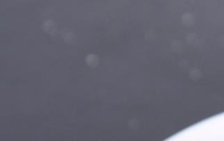 白果能祛斑吗 白果能祛斑吗是真的吗