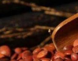 酸枣仁的功效与作用及禁忌(熟地黄和酸枣仁的功效与作用及禁忌)