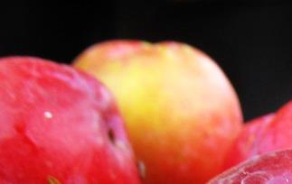 李子的食疗作用 李子的食疗作用和功效