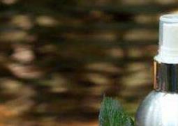 茶花纯露的功效与作用 茶花纯露是什么