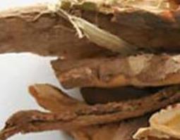 五加皮与刺五加的区别 五加皮与刺五加的区别图片