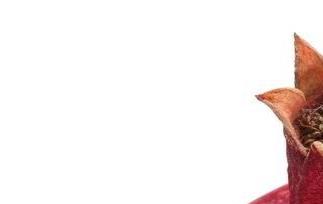 石榴的营养和功效有哪些（石榴的营养和功效有哪些呢）